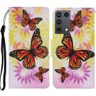 For Samsung Galaxy S21 Ultra 5G Coloured Drawing Pattern Horizontal Flip PU Leather Case with Holder & Card Slots & Wallet & Lanyard(Chrysanthemum Butterfly) - 1