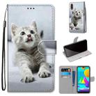 For Samsung Galaxy M01 Coloured Drawing Cross Texture Horizontal Flip PU Leather Case with Holder & Card Slots & Wallet & Lanyard(Small Gray Cat) - 1