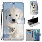 For Samsung Galaxy Note 20 Coloured Drawing Cross Texture Horizontal Flip PU Leather Case with Holder & Card Slots & Wallet & Lanyard(Snow Puppy) - 1