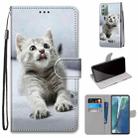 For Samsung Galaxy Note 20 Coloured Drawing Cross Texture Horizontal Flip PU Leather Case with Holder & Card Slots & Wallet & Lanyard(Small Gray Cat) - 1