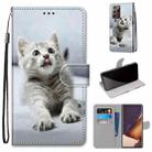 For Samsung Galaxy Note 20 Ultra Coloured Drawing Cross Texture Horizontal Flip PU Leather Case with Holder & Card Slots & Wallet & Lanyard(Small Gray Cat) - 1