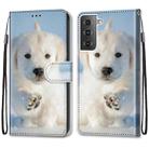 For Samsung Galaxy S21 5G Coloured Drawing Cross Texture Horizontal Flip PU Leather Case with Holder & Card Slots & Wallet & Lanyard(Snow Puppy) - 2