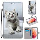 For Samsung Galaxy S21 5G Coloured Drawing Cross Texture Horizontal Flip PU Leather Case with Holder & Card Slots & Wallet & Lanyard(Small Gray Cat) - 1