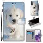 For Samsung Galaxy S21+ 5G Coloured Drawing Cross Texture Horizontal Flip PU Leather Case with Holder & Card Slots & Wallet & Lanyard(Snow Puppy) - 1