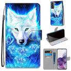 For Samsung Galaxy S21+ 5G Coloured Drawing Cross Texture Horizontal Flip PU Leather Case with Holder & Card Slots & Wallet & Lanyard(Dick Rose Wolf) - 1