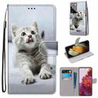 For Samsung Galaxy S21 Ultra 5G Coloured Drawing Cross Texture Horizontal Flip PU Leather Case with Holder & Card Slots & Wallet & Lanyard(Small Gray Cat) - 1