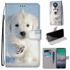 For Nokia 3.4 Coloured Drawing Cross Texture Horizontal Flip PU Leather Case with Holder & Card Slots & Wallet & Lanyard(Snow Puppy) - 1