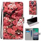 For Nokia 3.4 Coloured Drawing Cross Texture Horizontal Flip PU Leather Case with Holder & Card Slots & Wallet & Lanyard(Pink Rose Garden) - 1