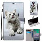 For Nokia 3.4 Coloured Drawing Cross Texture Horizontal Flip PU Leather Case with Holder & Card Slots & Wallet & Lanyard(Small Gray Cat) - 1