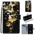 For iPhone 12 For iPhone 12 mini Coloured Drawing Cross Texture Horizontal Flip Leather Case with Holder & Card Slots & Wallet & Lanyard(Golden Butterfly Group) - 1