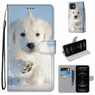 For iPhone 12 / 12 Pro Coloured Drawing Cross Texture Horizontal Flip PU Leather Case with Holder & Card Slots & Wallet & Lanyard(Snow Puppy) - 1