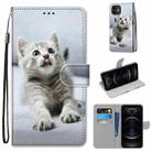 For iPhone 12 / 12 Pro Coloured Drawing Cross Texture Horizontal Flip PU Leather Case with Holder & Card Slots & Wallet & Lanyard(Small Gray Cat) - 1