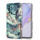 For Huawei nova 7 5G TPU Gilt Marble Pattern Protective Case(Green) - 1