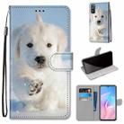 For Huawei Enjoy Z / 20 Pro Coloured Drawing Cross Texture Horizontal Flip PU Leather Case with Holder & Card Slots & Wallet & Lanyard(Snow Puppy) - 1