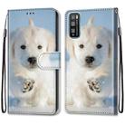 For Huawei Enjoy Z / 20 Pro Coloured Drawing Cross Texture Horizontal Flip PU Leather Case with Holder & Card Slots & Wallet & Lanyard(Snow Puppy) - 2