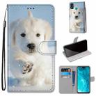 For Huawei Honor 9X Lite Coloured Drawing Cross Texture Horizontal Flip PU Leather Case with Holder & Card Slots & Wallet & Lanyard(Snow Puppy) - 1