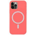 For iPhone 12 / 12 Pro Nano Silicone Shockproof Magsafe Case - 1