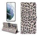 For Samsung Galaxy S21+ 5G Leopard Pattern Horizontal Flip Leather Case with Holder & Card Slots(Brown) - 1