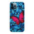 For iPhone 12 Pro Max Shockproof Painted Transparent TPU Protective Case(Big Red Butterfly) - 1