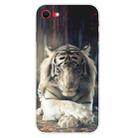 For iPhone SE 2022 / SE 2020 Shockproof Painted Transparent TPU Protective Case(White Tiger) - 1
