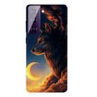 For Samsung Galaxy S21 5G Shockproof Painted Transparent TPU Protective Case(Sky Wolf) - 1