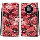 For Huawei Mate 40 Pro Coloured Drawing Cross Texture Horizontal Flip PU Leather Case with Holder & Card Slots & Wallet & Lanyard(Pink Rose Garden) - 2