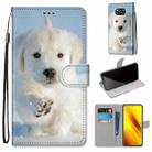 For Xiaomi Poco X3 NFC Coloured Drawing Cross Texture Horizontal Flip PU Leather Case with Holder & Card Slots & Wallet & Lanyard(Snow Puppy) - 1