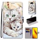 For Xiaomi Poco X3 NPC Coloured Drawing Cross Texture Horizontal Flip PU Leather Case with Holder & Card Slots & Wallet & Lanyard(Big Cat Holding Kitten) - 1