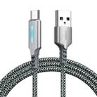 Remax RC-123a 2.4A Type-C / USB-C Intelligent Streamer Power Off Charging Data Cable, Length: 1m(Silver) - 1