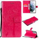 For Samsung Galaxy S21+ 5G Tree & Cat Pattern Pressed Printing Horizontal Flip PU Leather Case with Holder & Card Slots & Wallet & Lanyard(Rose) - 1
