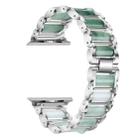 Emerald Stainless Steel Watch Band For Apple Watch Ultra 49mm&Watch Ultra 2 49mm / Series 9&8&7 45mm / SE 3&SE 2&6&SE&5&4 44mm / 3&2&1 42mm(Silver) - 1