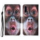 For Huawei P30 Colored Drawing Pattern Horizontal Flip Leather Case with Holder & Card Slots & Wallet & Lanyard(Orangutan) - 1