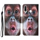 For Huawei P30 lite Colored Drawing Pattern Horizontal Flip Leather Case with Holder & Card Slots & Wallet & Lanyard(Orangutan) - 1