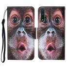 For Honor 20 Colored Drawing Pattern Horizontal Flip Leather Case with Holder & Card Slots & Wallet & Lanyard(Orangutan) - 1