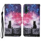 For Honor 20 Colored Drawing Pattern Horizontal Flip Leather Case with Holder & Card Slots & Wallet & Lanyard(Starry Cat) - 1