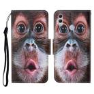 For Honor 10 Lite Colored Drawing Pattern Horizontal Flip Leather Case with Holder & Card Slots & Wallet & Lanyard(Orangutan) - 1