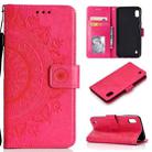 For Samsung Galaxy A01 Totem Flower Embossed Horizontal Flip TPU + PU Leather Case with Holder & Card Slots & Wallet(Red) - 1
