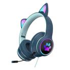 AKZ-022 USB + 3.5mm Port Cat Ear Design Foldable LED Headset with Mic(Dark Blue) - 1