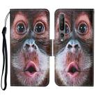 For Xiaomi Mi 10 Colored Drawing Pattern Horizontal Flip Leather Case with Holder & Card Slots & Wallet & Lanyard(Orangutan) - 1