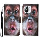 For Xiaomi Mi 11 Colored Drawing Pattern Horizontal Flip Leather Case with Holder & Card Slots & Wallet & Lanyard(Orangutan) - 1