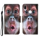 For Xiaomi Redmi Note 7 / 7 Pro Colored Drawing Pattern Horizontal Flip Leather Case with Holder & Card Slots & Wallet & Lanyard(Orangutan) - 1