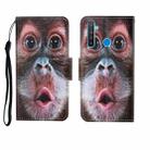 For OPPO Realme 5 Pro Painted Pattern Horizontal Flip Leathe Case(Orangutan) - 1