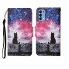 For OPPO Reno4 Painted Pattern Horizontal Flip Leathe Case(Starry Cat) - 1