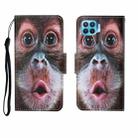 For OPPO Reno4 Lite Painted Pattern Horizontal Flip Leathe Case(Orangutan) - 1