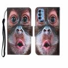 For OPPO Reno4 Pro Painted Pattern Horizontal Flip Leathe Case(Orangutan) - 1