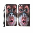 For iPhone 6 Painted Pattern Horizontal Flip Leathe Case(Orangutan) - 1