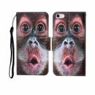 For iPhone 6 Plus Painted Pattern Horizontal Flip Leathe Case(Orangutan) - 1