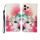 For iPhone 11 Pro Painted Pattern Horizontal Flip Leathe Case(Cat) - 1