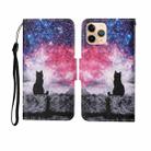 For iPhone 11 Pro Painted Pattern Horizontal Flip Leathe Case(Starry Cat) - 1