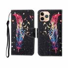 For iPhone 11 Pro Painted Pattern Horizontal Flip Leathe Case(Feather) - 1